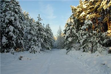 曝《GTA6》因为剧情推翻三次 而拉长开发周期